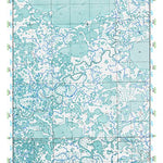 (60163a1) Page 029 Baird Inlet - Central Preview 1