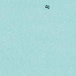 (64162a1) Page 004 Solomon - East Preview 3