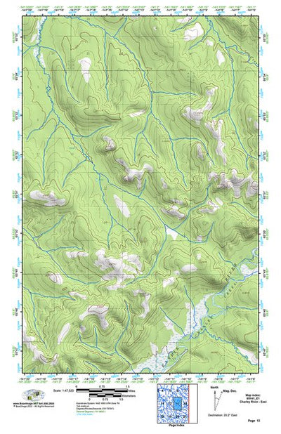 (65141e1) Page 013 Charley River - East Preview 1