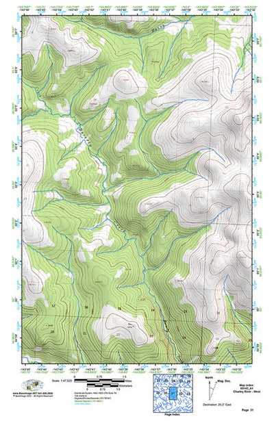 (65143a1) Page 031 Charley River - West Preview 1
