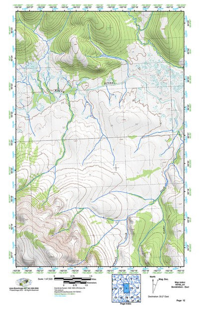 (65162a1) Page 012 Bendeleben - East Preview 1