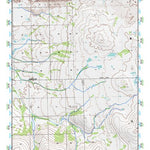 (65163a1) Page 004 Bendeleben - Central Preview 1