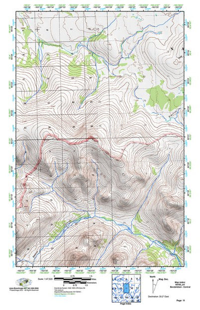 (65163a1) Page 011 Bendeleben - Central Preview 1