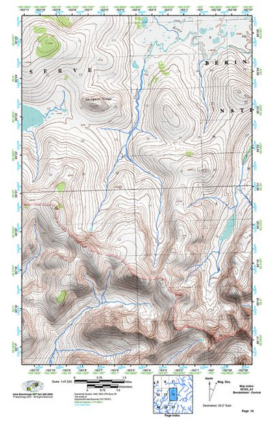 (65163a1) Page 014 Bendeleben - Central Preview 1