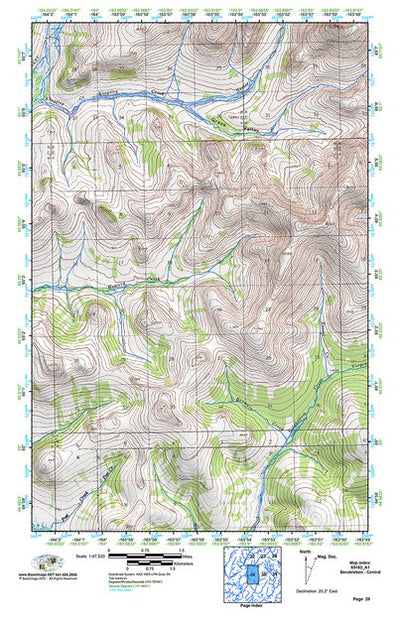 (65163a1) Page 029 Bendeleben - Central Preview 1