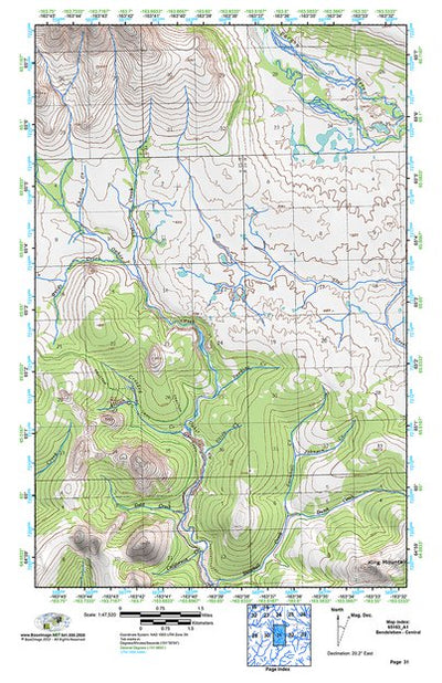 (65163a1) Page 031 Bendeleben - Central Preview 1