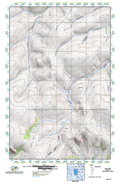 (65164e1) Page 029 Bendeleben - West Preview 1