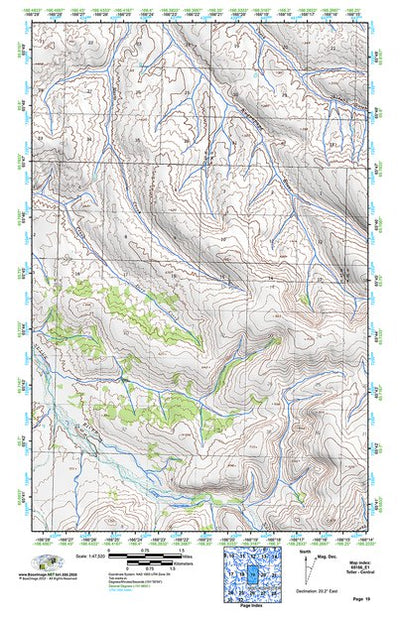 (65166e1) Page 019 Teller - Central Preview 1
