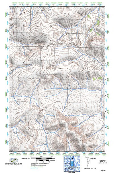 (65166e1) Page 021 Teller - Central Preview 1
