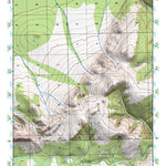 (66151a1) Page 031 Bettles - Central Preview 1