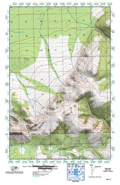 (66151a1) Page 031 Bettles - Central Preview 1