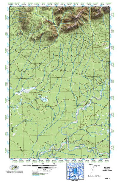 (66151e1) Page 013 Bettles - Central Preview 1