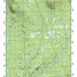 (66151e1) Page 028 Bettles - Central Preview 1