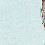 (68166e1) Page 021 Point Hope - Central Preview 3