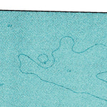 (70148e1) Page 009 Beechey Point - Central Preview 3
