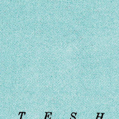 (70153e1) Page 023 Teshekpuk - East Preview 2