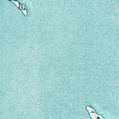 (70153e1) Page 030 Teshekpuk - East Preview 3