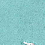(70153e1) Page 034 Teshekpuk - East Preview 2