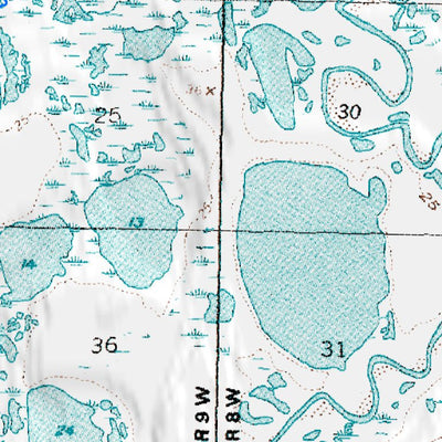 (70154a1) Page 007 Teshekpuk - Central Preview 2