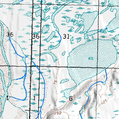 (70154a1) Page 009 Teshekpuk - Central Preview 2