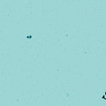 (70158e1) Page 003 Meade River - West Preview 2
