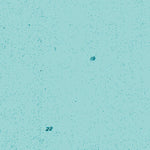 (70158e1) Page 008 Meade River - West Preview 2