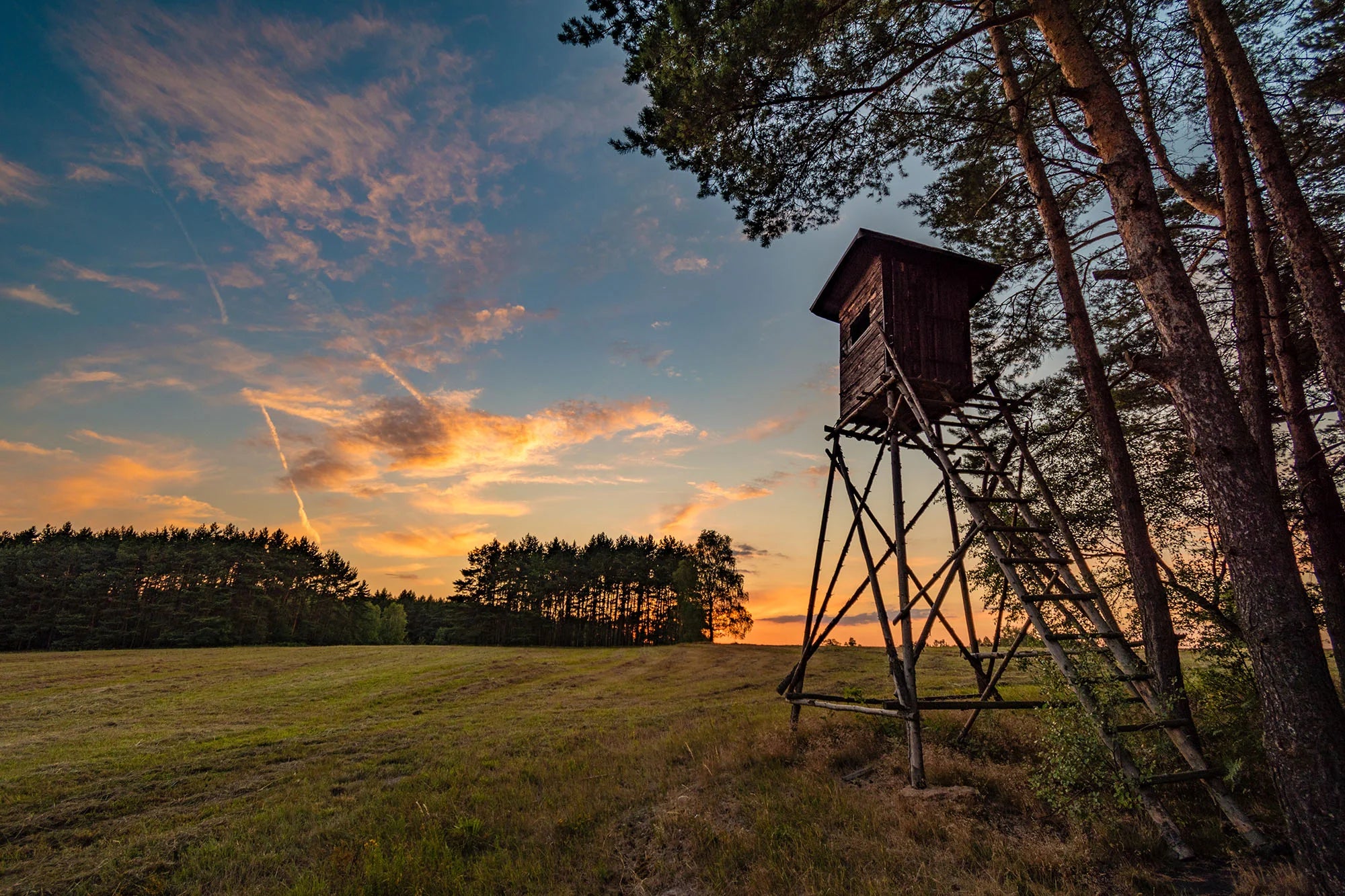 Hunting tower at sunrise