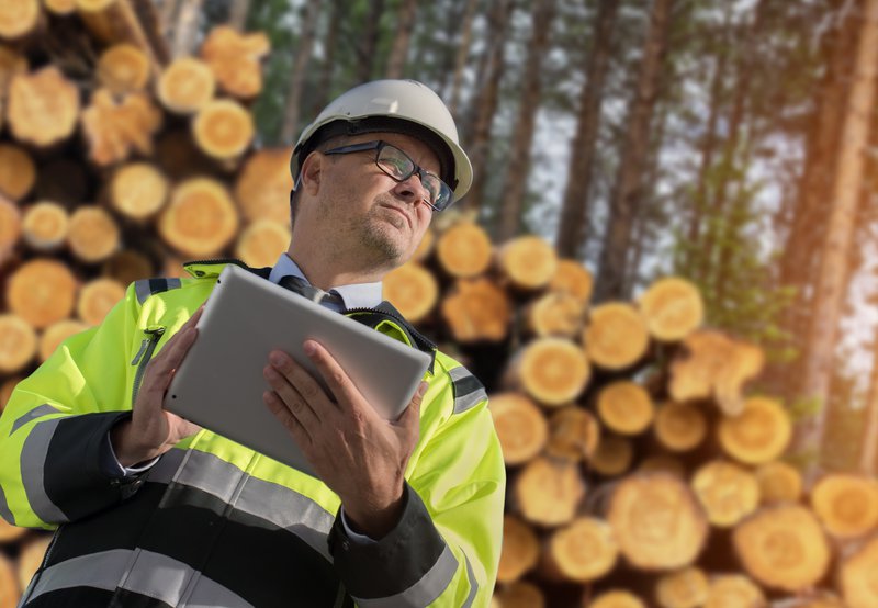 Man using digital map on ipad at a work in a lumber yard