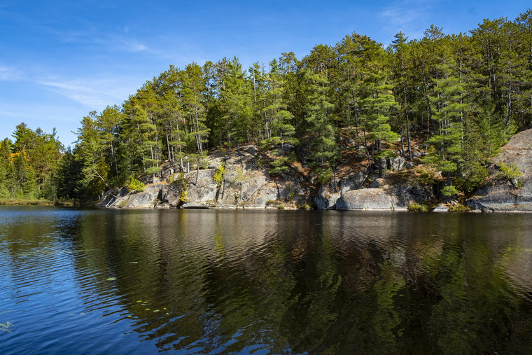  Rocky Cliffs and Evergreen Trees on Scenic Centennial Ridges Trail in Algonquin Park