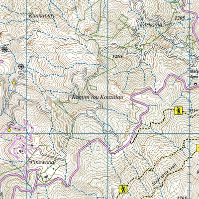 Cyprus 25k Troodos National Forest Preview 3