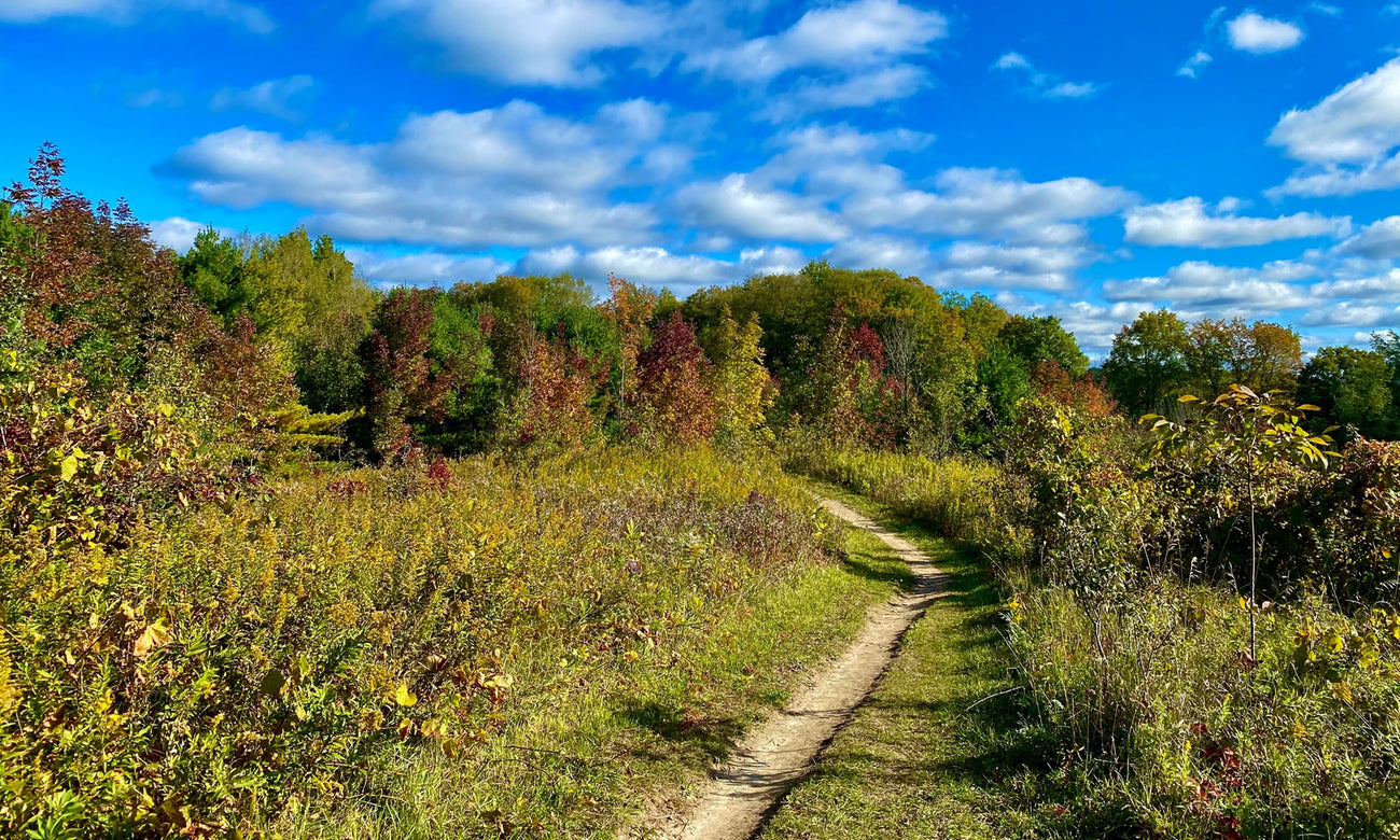 East Duffins Headwaters