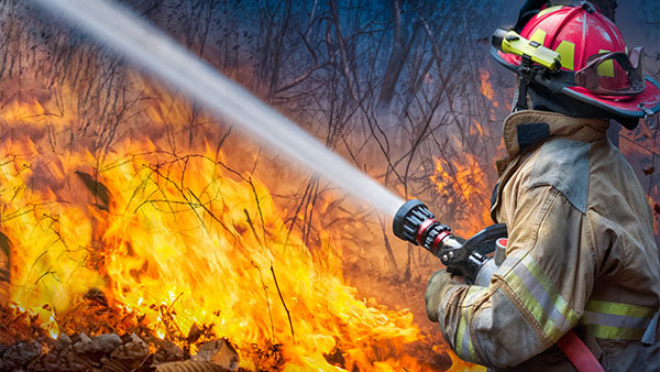 Firefighter putting out forest fire