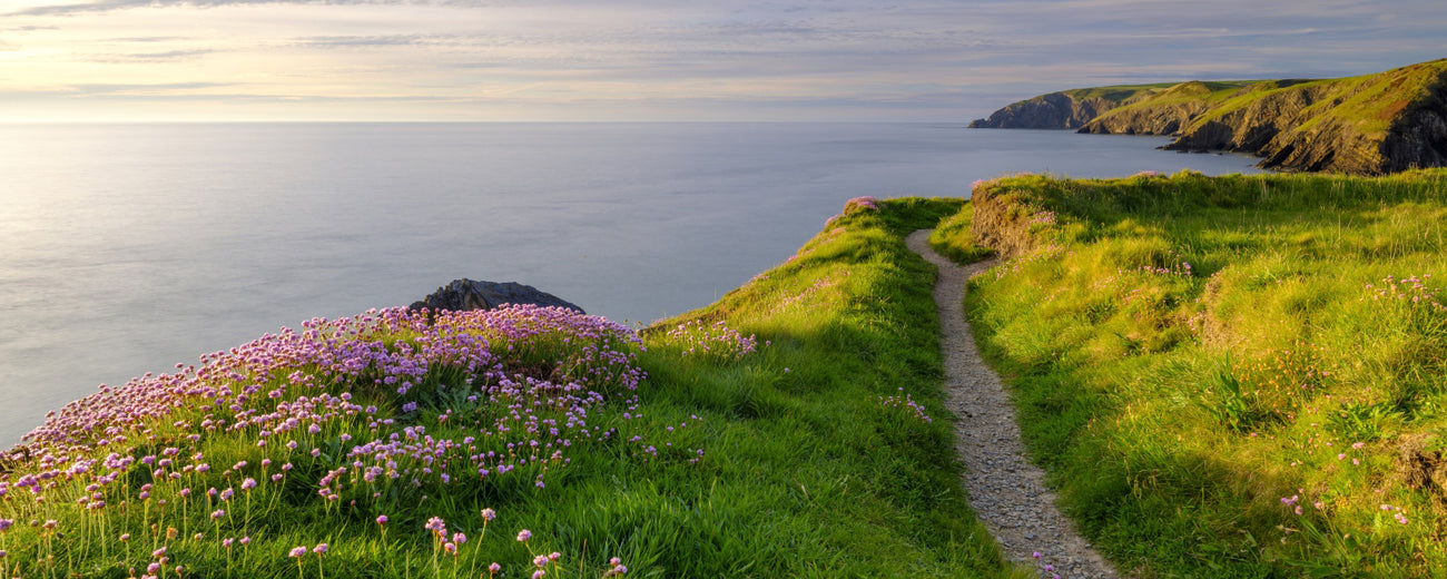 Pembrokeshire Coast Path, Wales