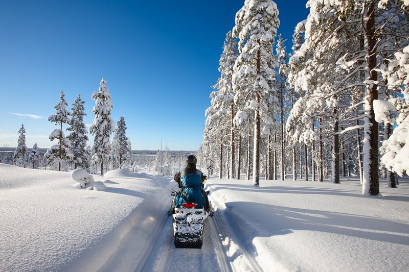 Snowmobiler riding through a snowy forest