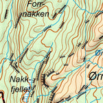 Støver Bodø Nordland Preview 3