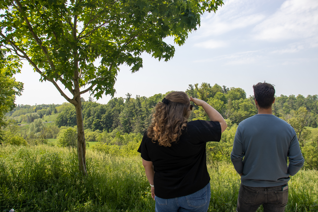 Two people looking at forest