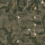 Mertzon SW, TX (2010, 24000-Scale) Preview 3
