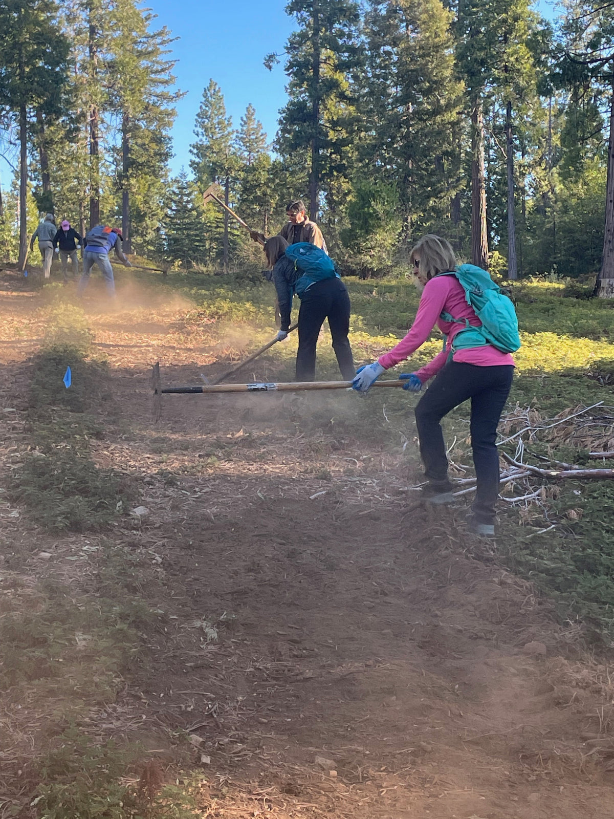 Volunteer Cleaning Crew