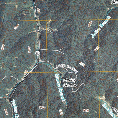 Williamson, WV-KY (2011, 24000-Scale) Preview 3