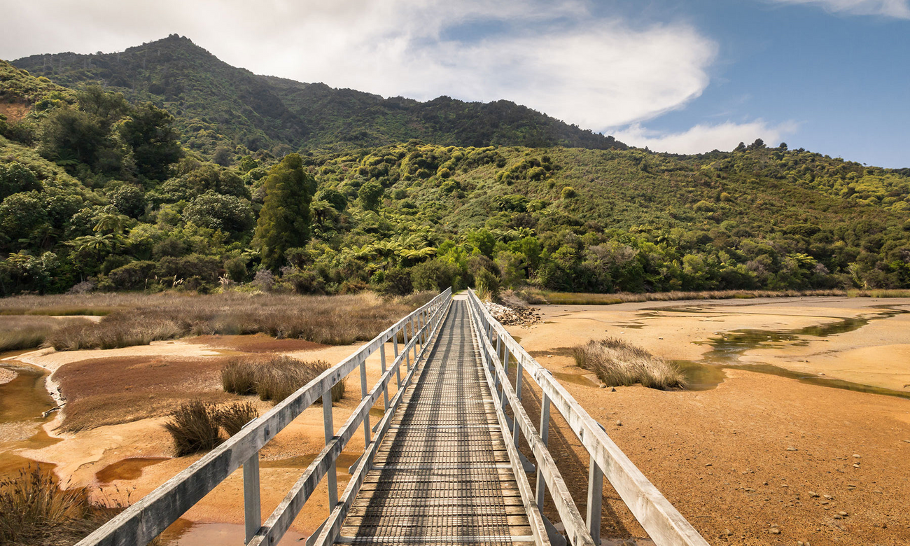 Wooden footbridge at the beginning of Abel Tasman Coast Track in Abel Tasman National Park, South Island, New Zealand 