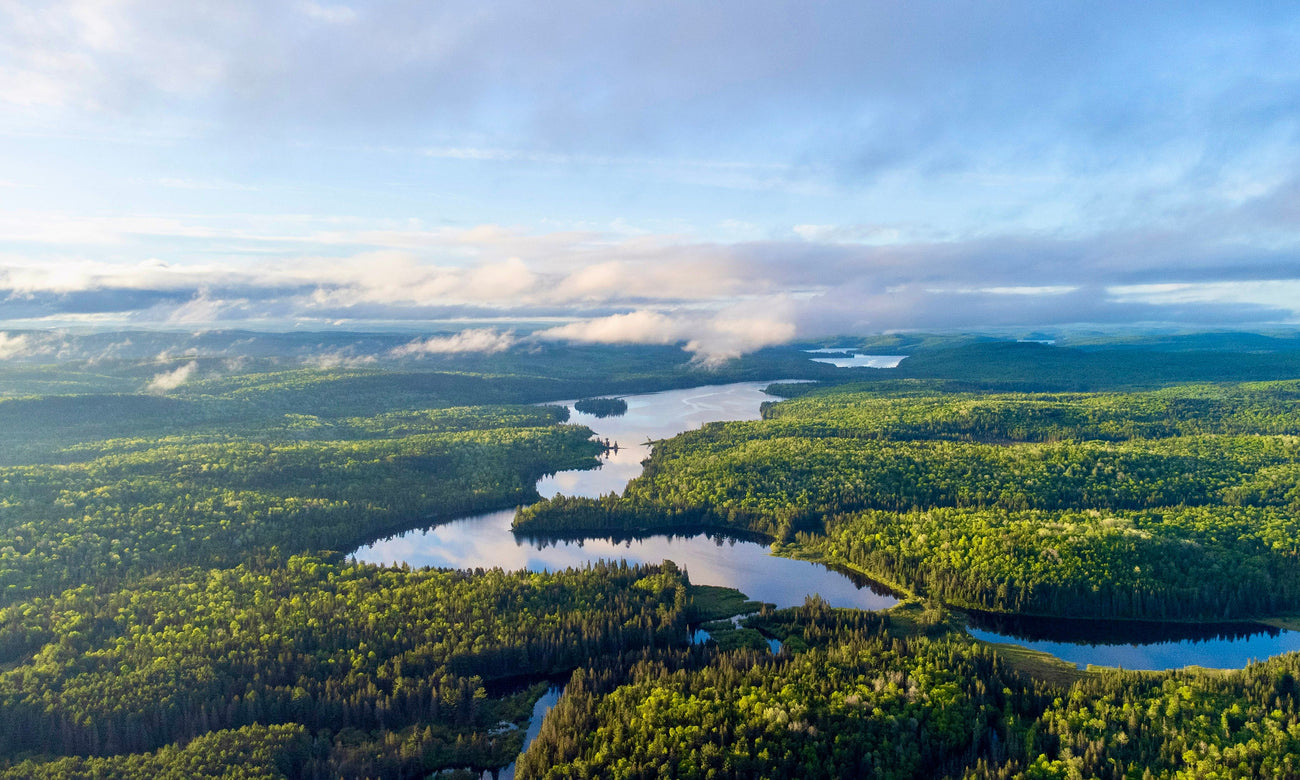 Aerial view of Algonquin Park