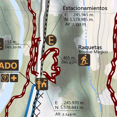 Andes Profundo BOSQUE NEVADO HUILO HUILO digital map