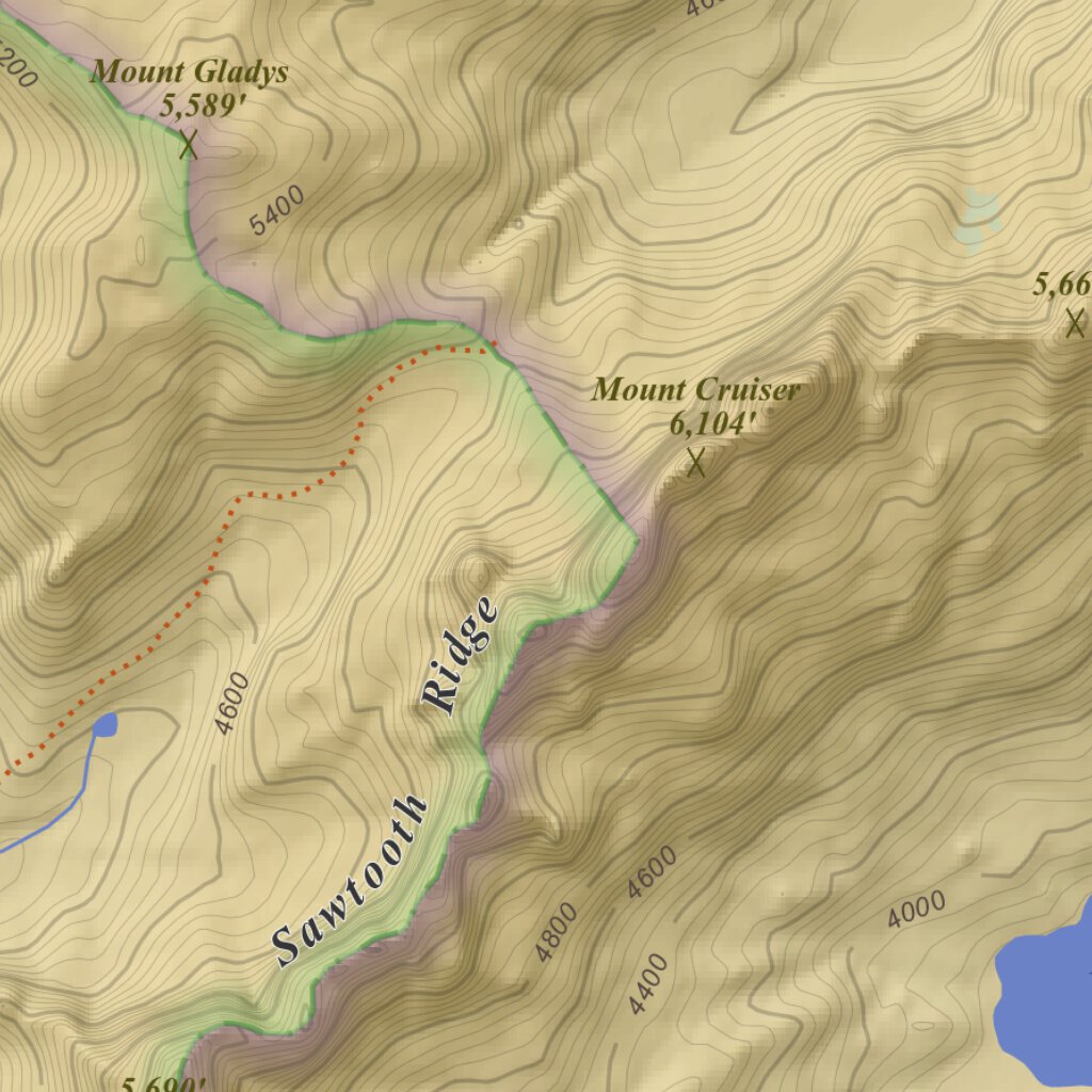 Mount Skokomish, Washington 7.5 Minute Topographic Map - Color ...