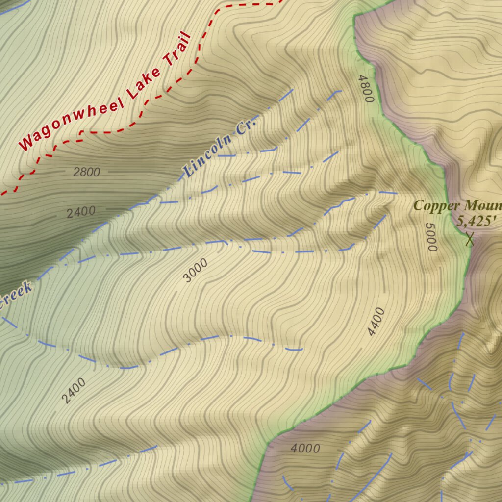 Mount Skokomish, Washington 7.5 Minute Topographic Map Color