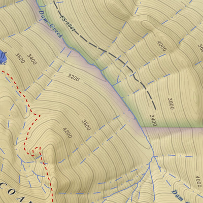 Apogee Mapping, Inc. Ohanapecosh Hot Springs, Washington 7.5 Minute Topographic Map - Color Hillshade digital map