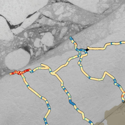 Arctic Alaska Observation and Knowledge Hub (AAOKH) Utqiagvik Ice Trail Map with Thickness - 25 April 2024 digital map