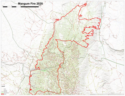 Arizona Mushroom Society 2020 Mangum Fire - Mixed Conifer Stand Delineation digital map