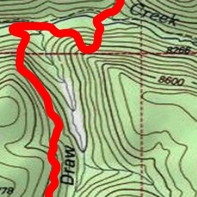 Arizona Mushroom Society 2022 Fish Fire digital map