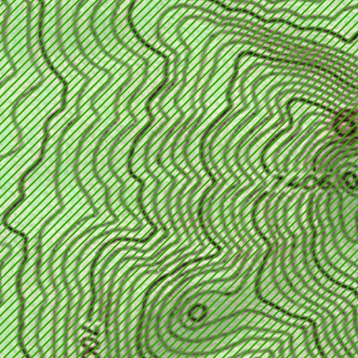 Arizona Mushroom Society 2023 Flagstaff Area Fire Maps bundle