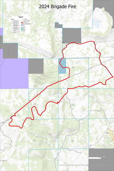 2024 Brigade Fire Preview 1